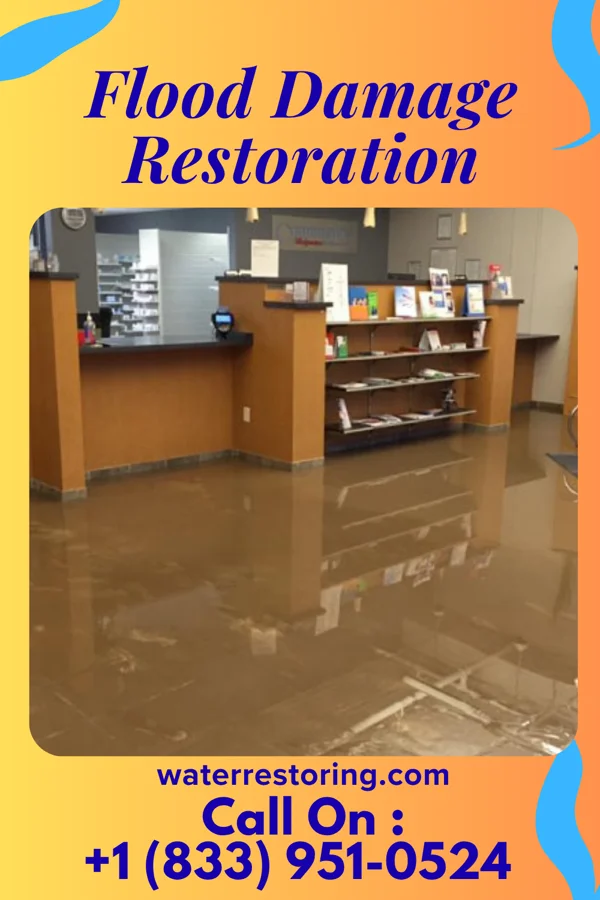 Flood Damage Restoration in Owaneco, IL