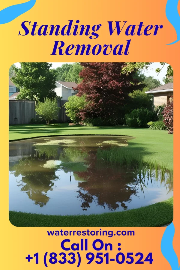 Standing Water Removal in Owaneco, IL